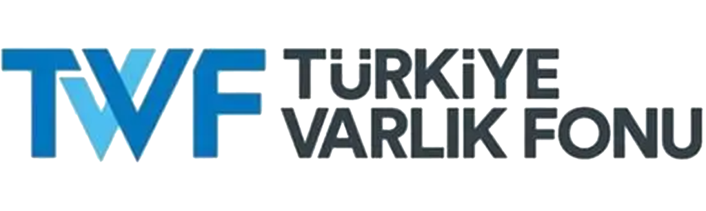 varlık fonu